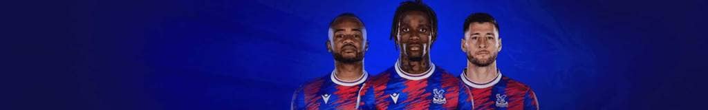 sudoku for brain health
